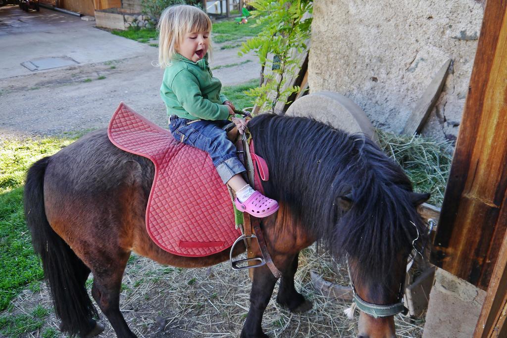 Ferienbauernhof Wieserhof Fiè Exteriér fotografie
