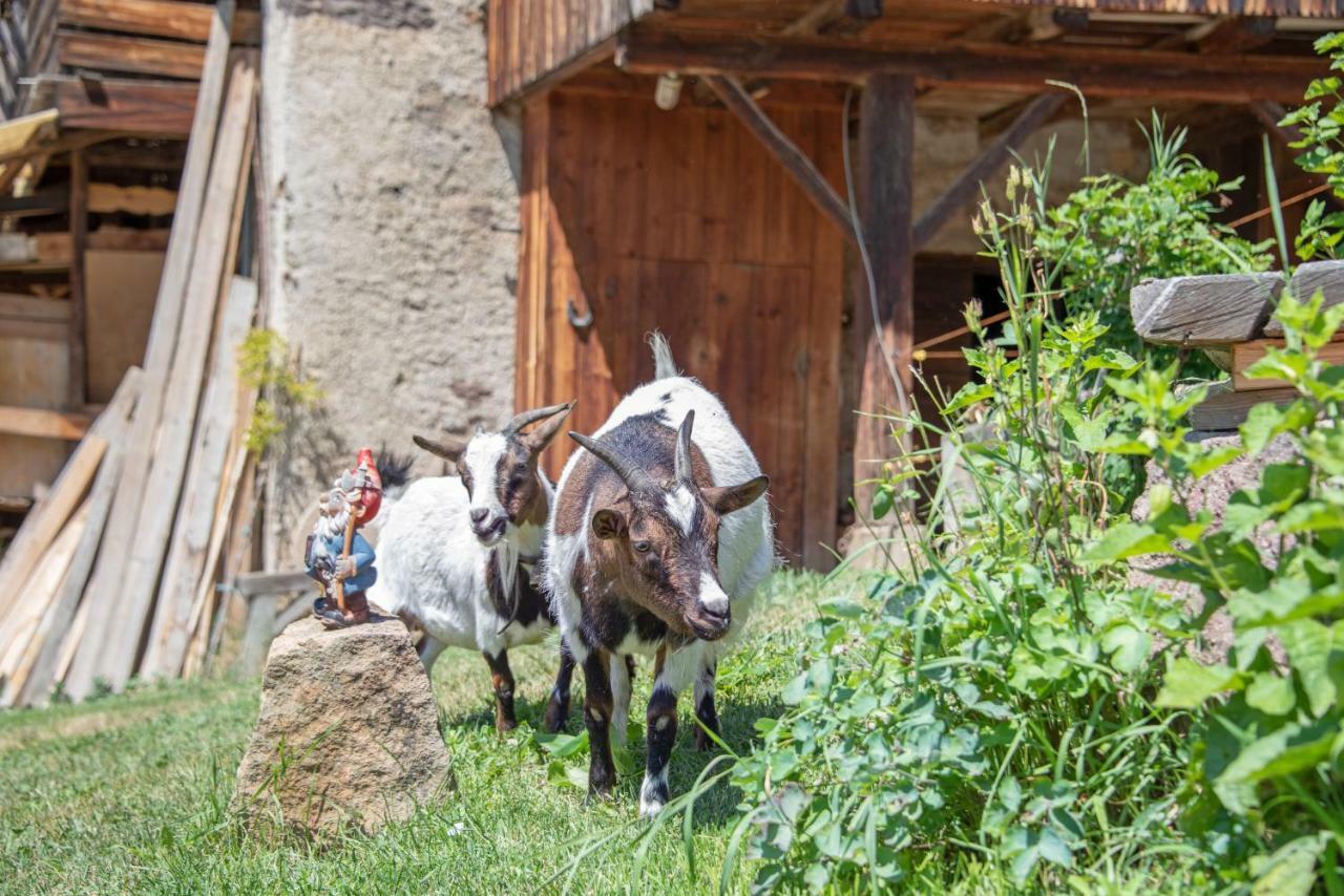 Ferienbauernhof Wieserhof Fiè Exteriér fotografie